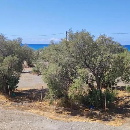 Beachfront Studio Kataliki - 1 Floor Διαμέρισμα